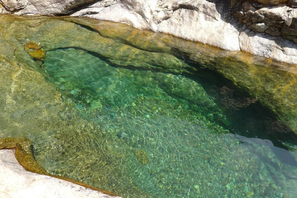 Le Capu Biancu-Location Avec Vue Proche Des Gorges De L Asco Entre Mer Et Montagne Moltifao Екстериор снимка