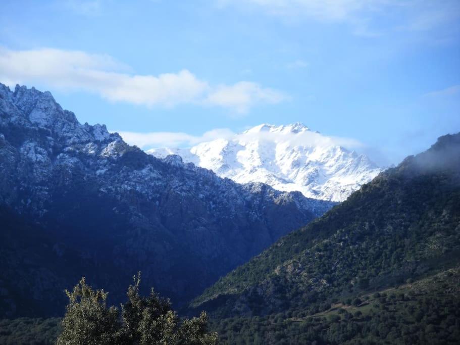Le Capu Biancu-Location Avec Vue Proche Des Gorges De L Asco Entre Mer Et Montagne Moltifao Екстериор снимка